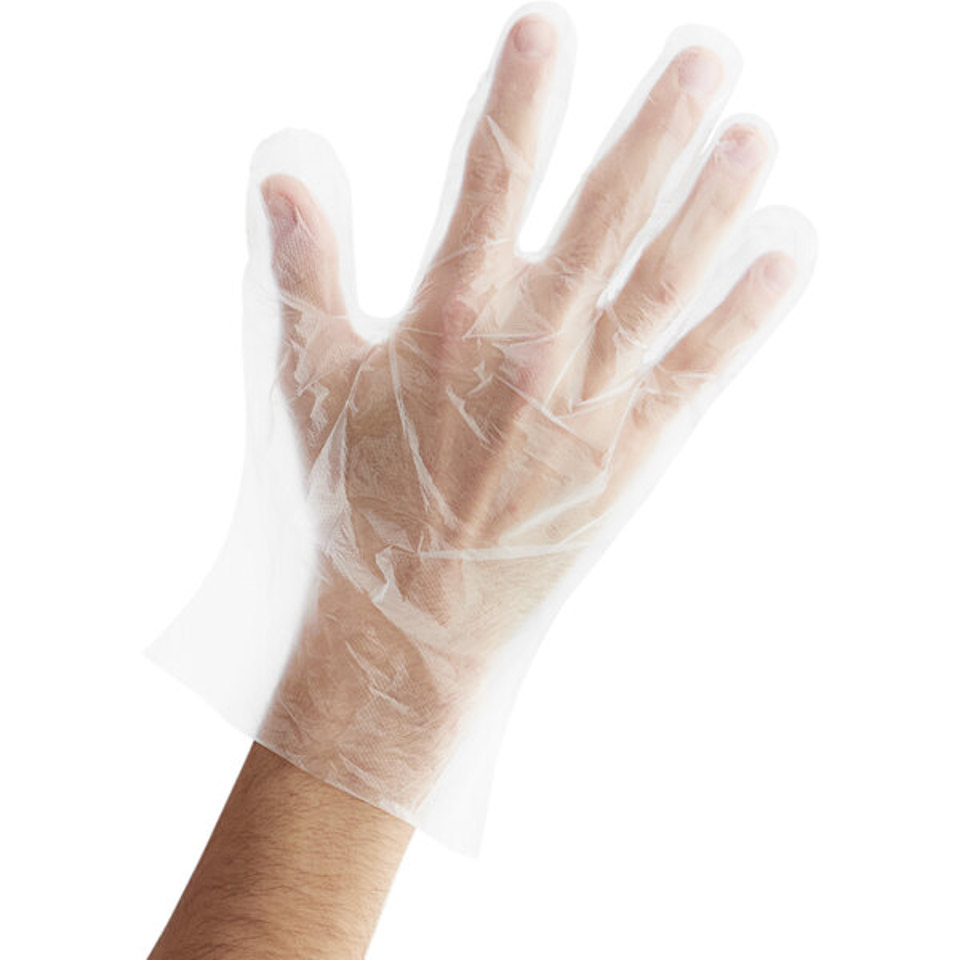 ***Poly Gloves Large  500